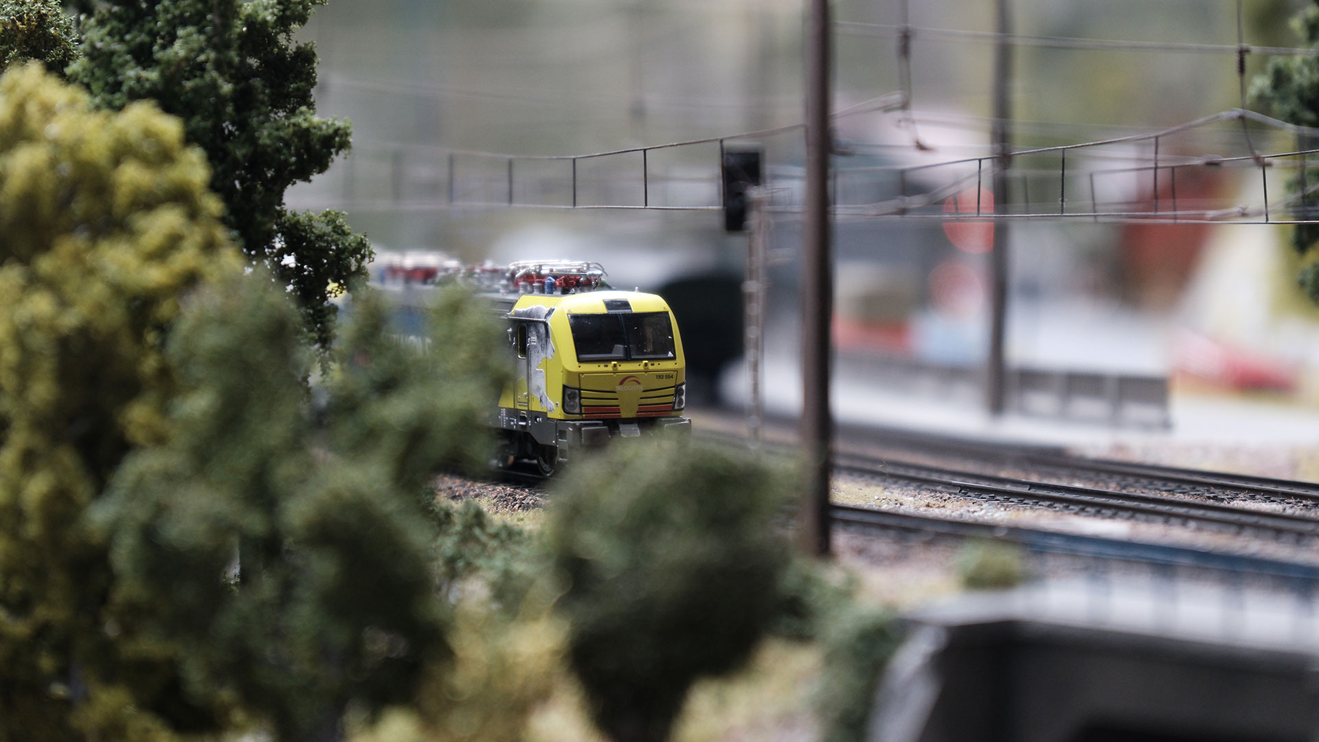 Eine gelbe Modelleisenbahn fährt auf Gleisen, umgeben von Modellbäumen und Grünpflanzen, mit verschwommenen Signalen und anderen Elementen im Hintergrund, die eine Miniatur-Eisenbahnszene darstellen.