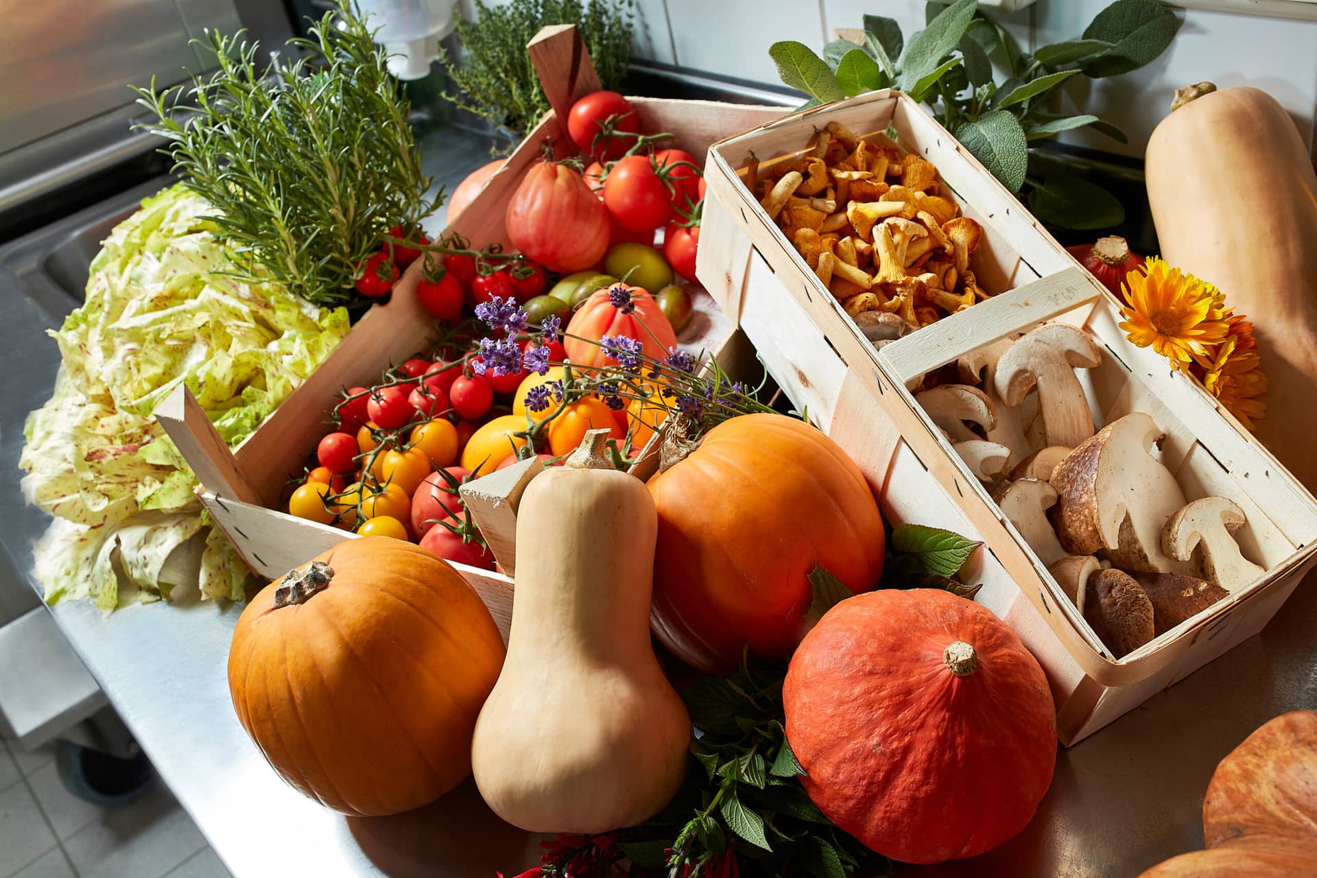 Verschiedene frische Gemüsesorten, darunter Kürbisse, Tomaten, Salat, Pilze und Kräuter, sind in Holzkisten auf einer Metallarbeitsplatte angeordnet, neben Pfifferlingen und einem Kürbis.